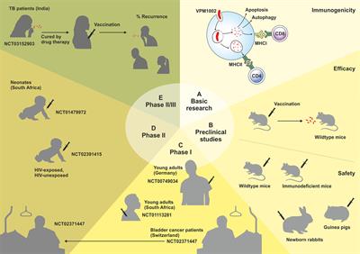 The Recombinant Bacille Calmette–Guérin Vaccine VPM1002: Ready for Clinical Efficacy Testing